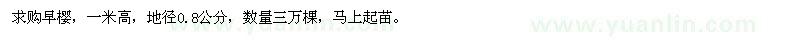 求購高1米早櫻3萬棵