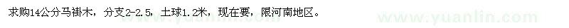 求購馬褂木14公分