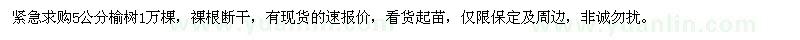 求購(gòu)榆樹(shù)5公分1萬(wàn)棵