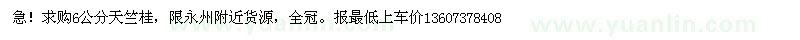 求購(gòu)6公分天竺桂，限永州附近貨源，全冠。