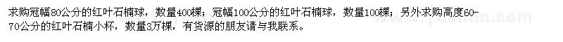 求購(gòu)紅葉石楠球、紅葉石楠小杯苗