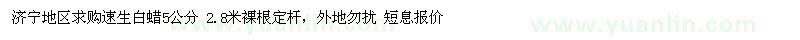 求購速生白蠟5公分