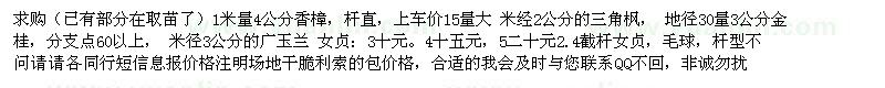 求購(gòu)，香樟，廣玉蘭，金桂，三角楓小苗
