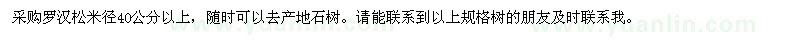 求購羅漢松米徑40公分以上