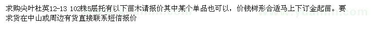 求購尖葉杜英12-13