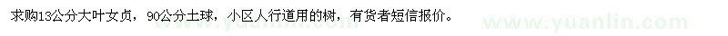 求購13公分大葉女貞