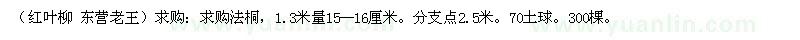 求購15的法桐