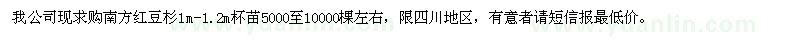 求購南方紅豆杉杯苗
