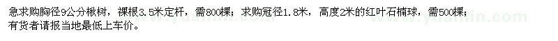 求購(gòu)楸樹,紅葉石楠球