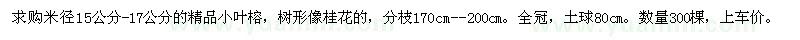 求購(gòu)米徑15公分-17公分的精品小葉榕