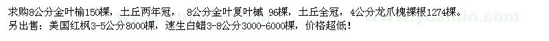 求購金葉榆、金葉復葉槭、龍爪槐