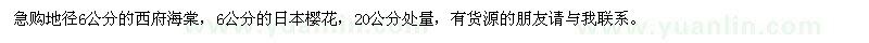 求購(gòu)西府海棠,日本櫻花