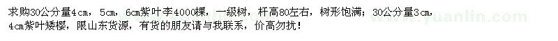 求購(gòu)紫葉李、紫葉矮櫻