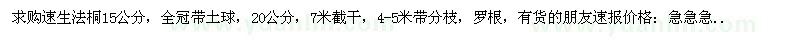 求購速生法桐15公分20公分