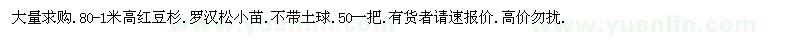 求購(gòu)紅豆杉.羅漢松小苗