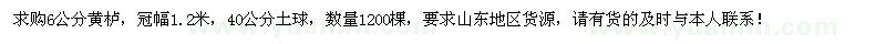 求購6公分黃櫨1200棵