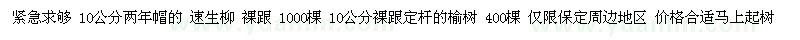 求購速生柳   榆樹