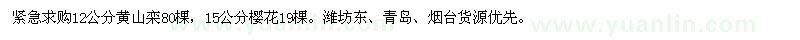 求購12公分黃山欒,15公分櫻花