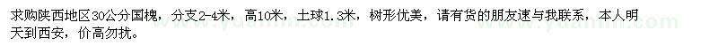 求購(gòu)30公分國(guó)槐
