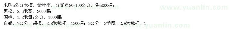 求購木槿,紫葉李,黑松,國槐,白蠟