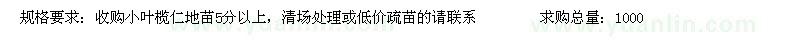 求購小葉欖仁地苗5分以上.高山榕，香樟，羊蹄甲