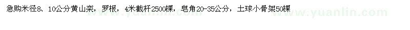 求購黃山欒、皂角