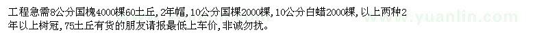 求購8公分、10公分國槐，10公分白蠟