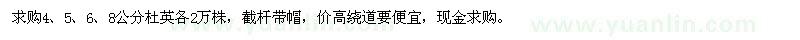 求購(gòu)4、5、6、8公分杜英