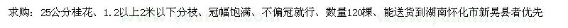 求購25公分桂花