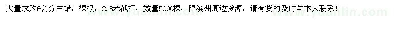 求購(gòu)6公分白蠟5000棵