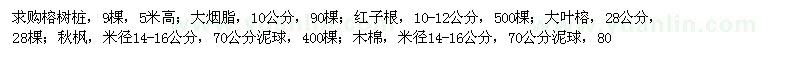 求購榕樹樁,大煙脂,大葉榕,秋楓,木棉