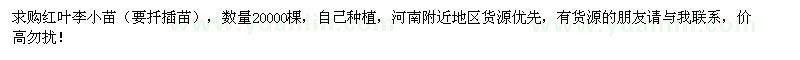 求購紅葉李小苗
