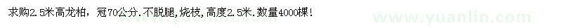 求購2.5米高龍柏
