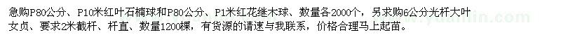 求購(gòu)急紅葉石楠球,紅花繼木球,大葉女貞