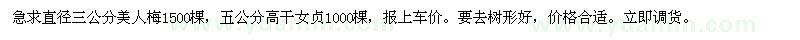 求購(gòu)直徑三公分美人梅1500棵，五公分高干女貞1000棵