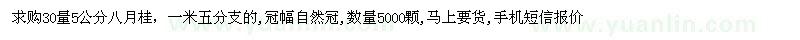 求購5公分八月桂