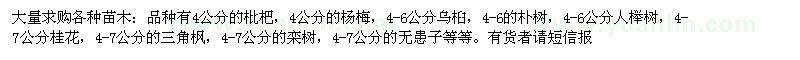 求購枇杷,楊梅,櫸樹,桂花,三角楓,欒樹
