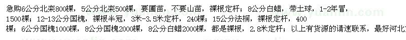 求購北欒、白蠟、國槐、法桐