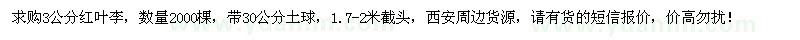 求購3公分紅葉李2000棵