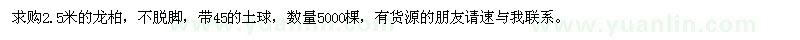 求購2.5米的龍柏
