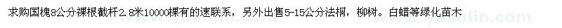 求購國槐8公分