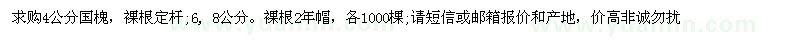 求購4公分國槐