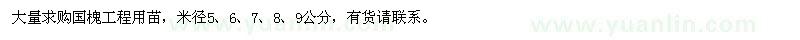 求購國槐工程用苗
