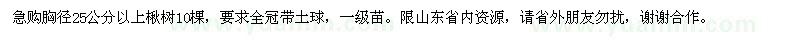求購(gòu)25公分以上楸樹(shù)
