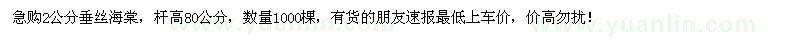 求購2公分垂絲海棠1000棵