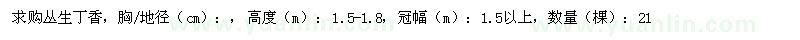 求購(gòu)叢生丁香