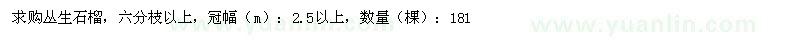 求購叢生石榴六分枝以上