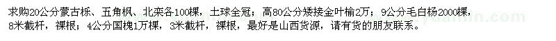 求購蒙古櫟、五角楓、北欒、毛白楊、國槐、矮接金葉榆
