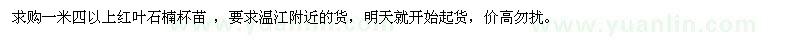 求購一米四以上紅葉石楠杯苗