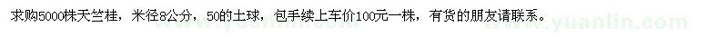 求購米徑8公分天竺桂5000株